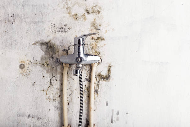 Best Mold Testing  in Glencoe, AL