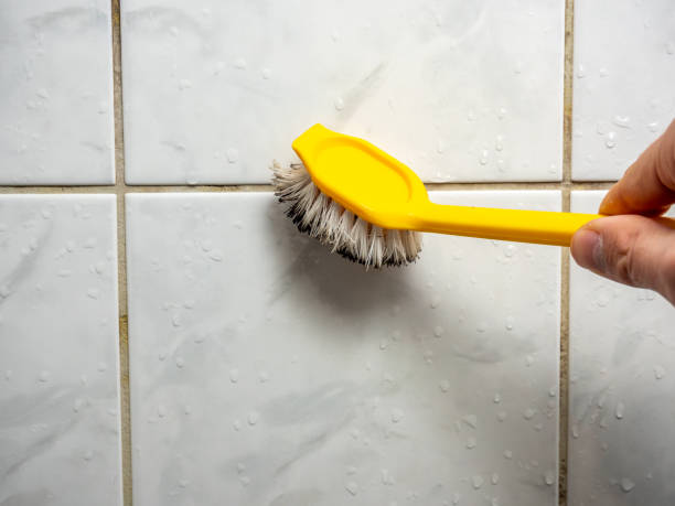 Best Toxic Mold Removal  in Glencoe, AL