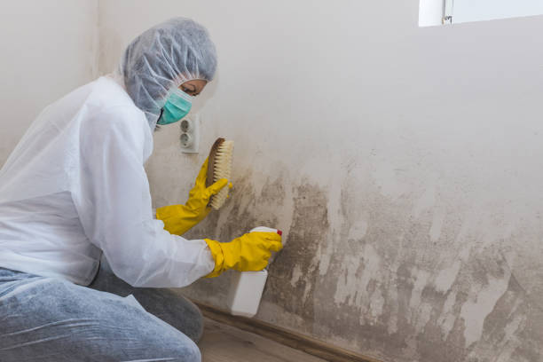 Best Crawl Space Mold Removal  in Glencoe, AL