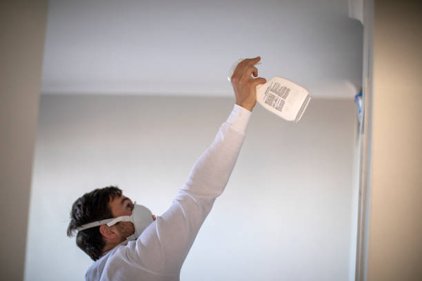 Best Fast Mold Removal  in Glencoe, AL