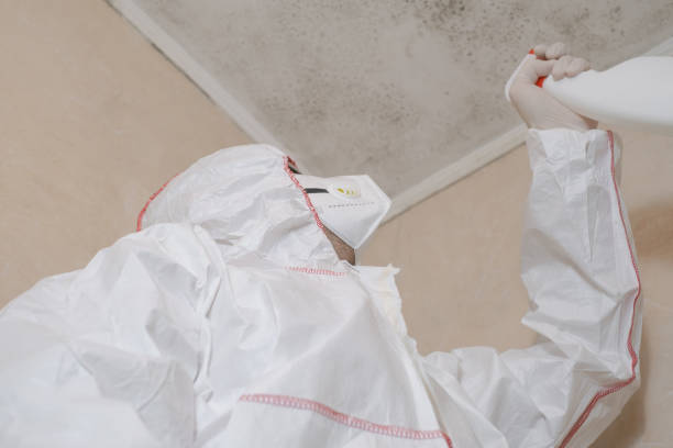 Best Professional Mold Removal  in Glencoe, AL